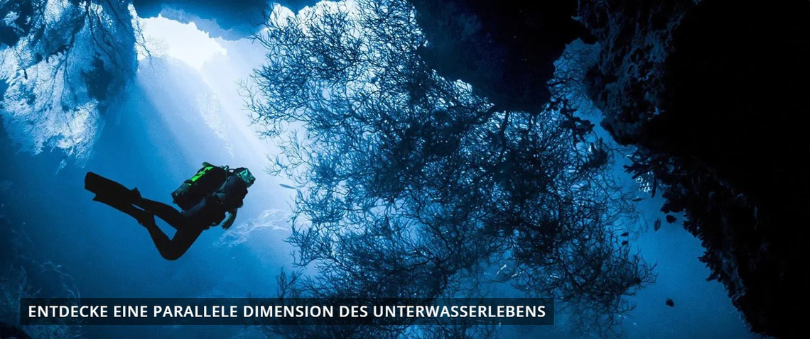 ProTec Dive Tauchen ProTec Dive Tauchen